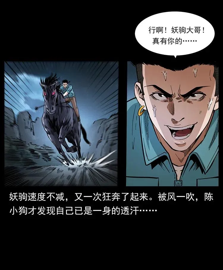 370 乌翅凤凰 第20页