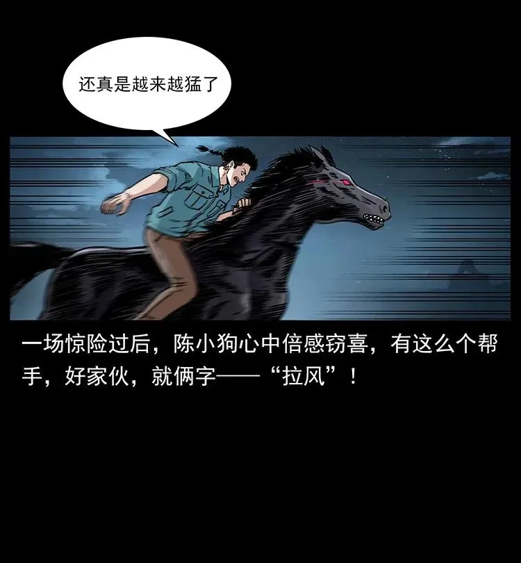 370 乌翅凤凰 第21页