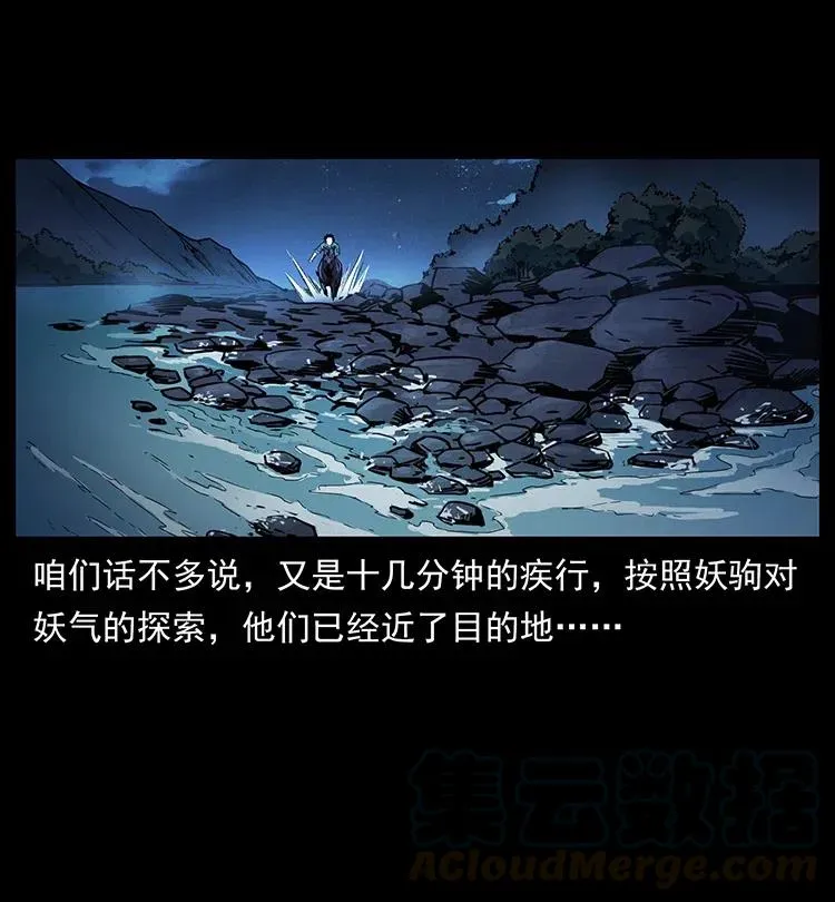 370 乌翅凤凰 第22页