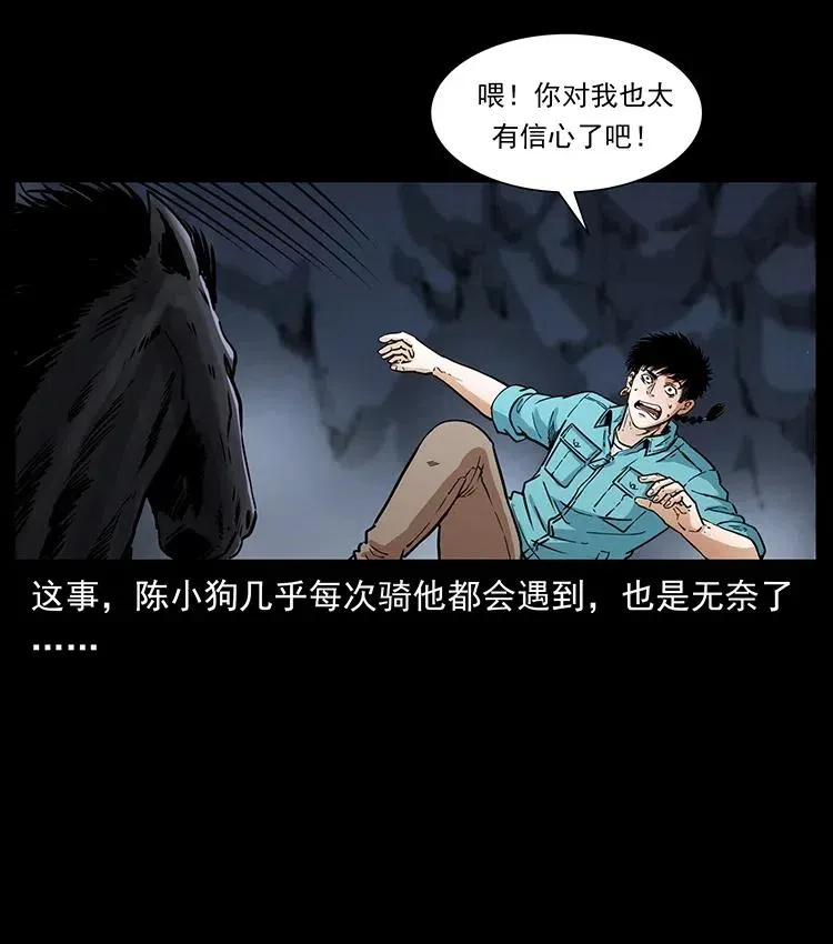 370 乌翅凤凰 第24页