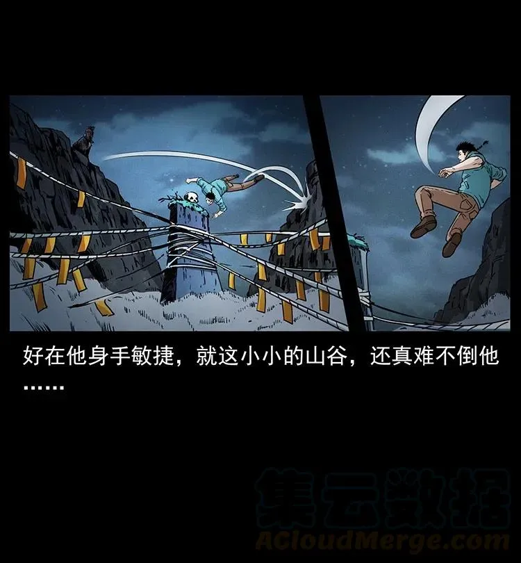 370 乌翅凤凰 第25页