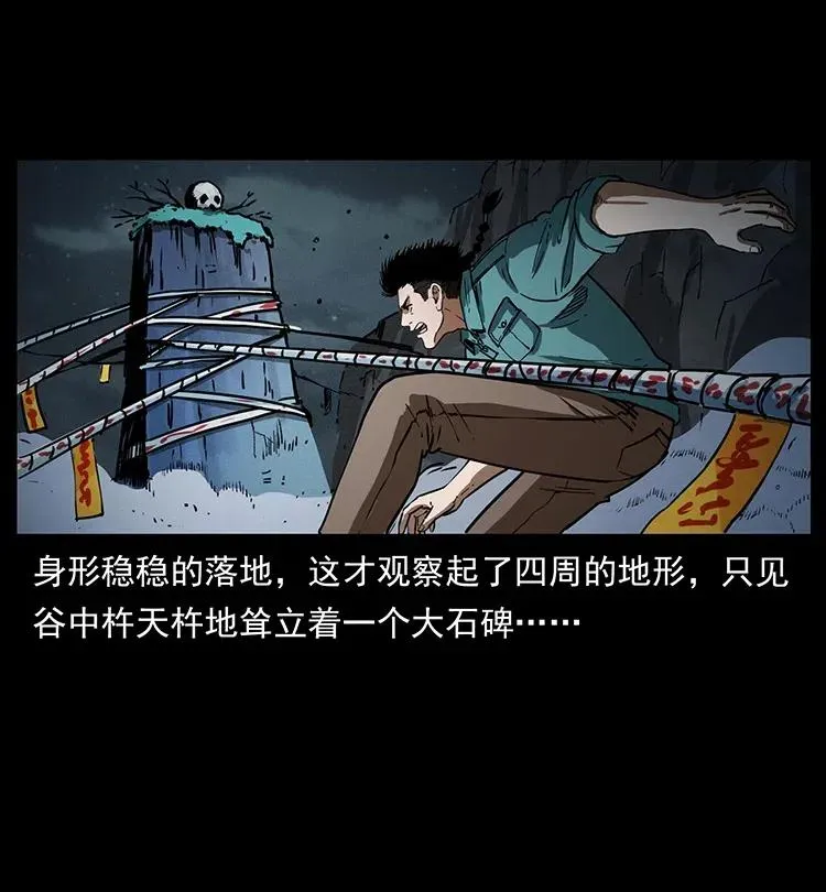 370 乌翅凤凰 第26页