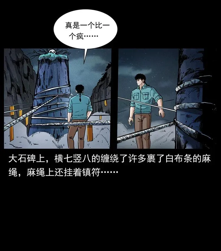 370 乌翅凤凰 第27页