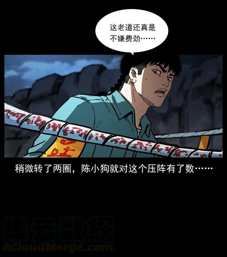 370 乌翅凤凰 第28页