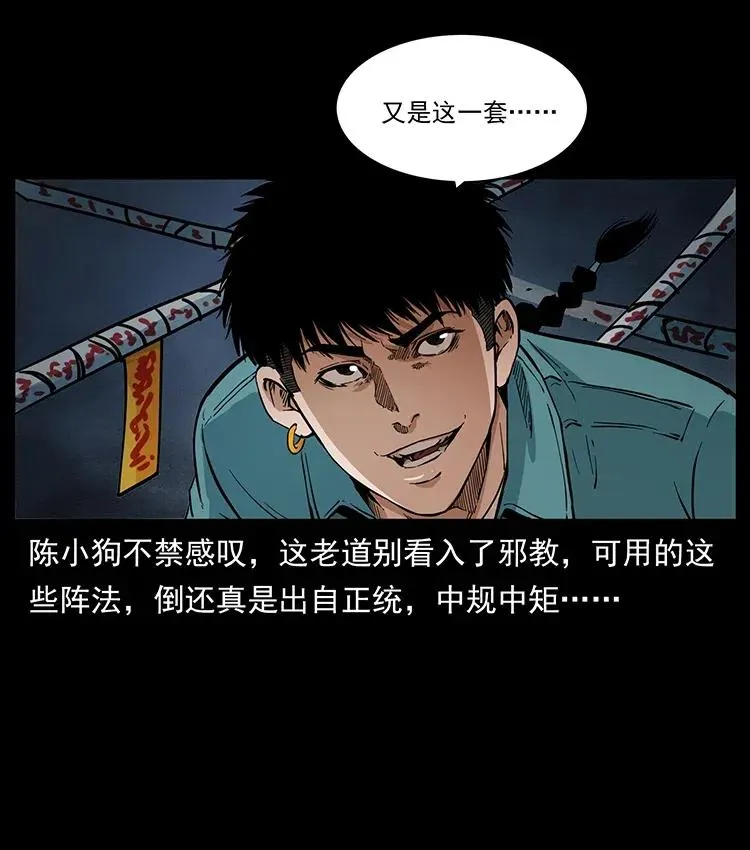 370 乌翅凤凰 第30页