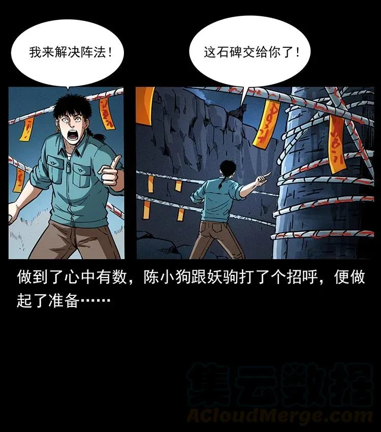 370 乌翅凤凰 第31页