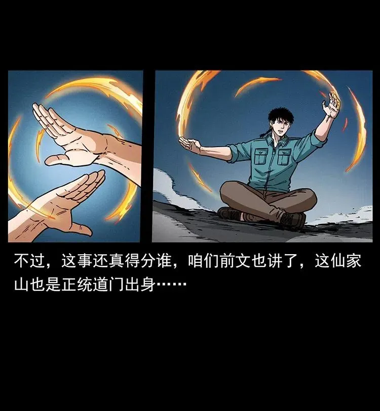 370 乌翅凤凰 第33页