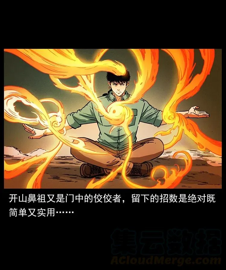 370 乌翅凤凰 第34页