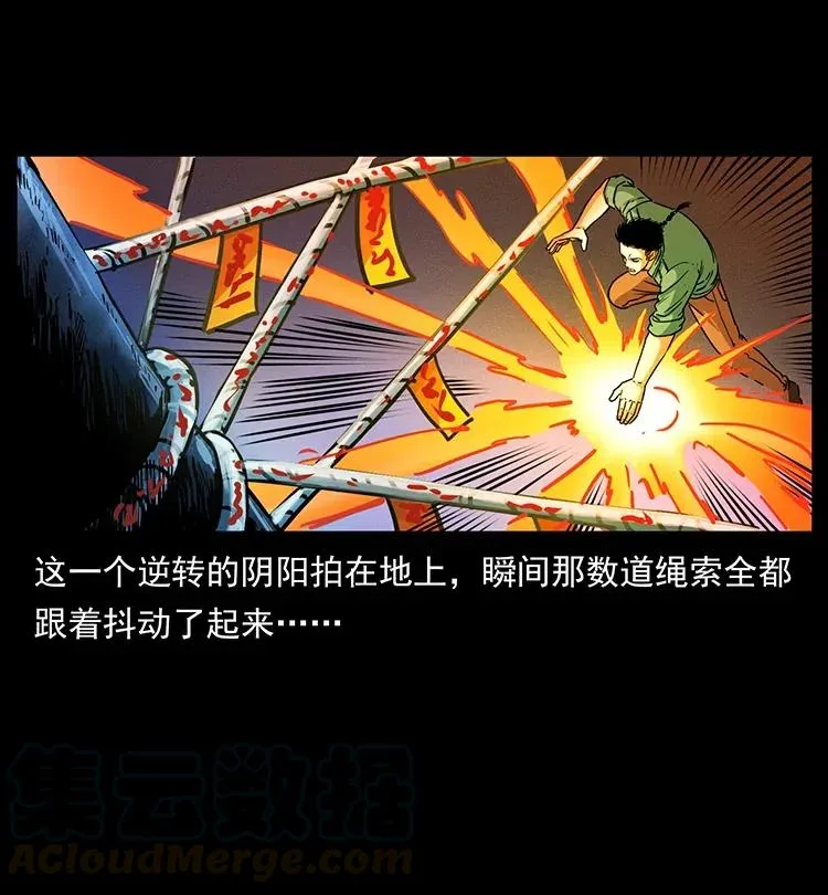 370 乌翅凤凰 第37页