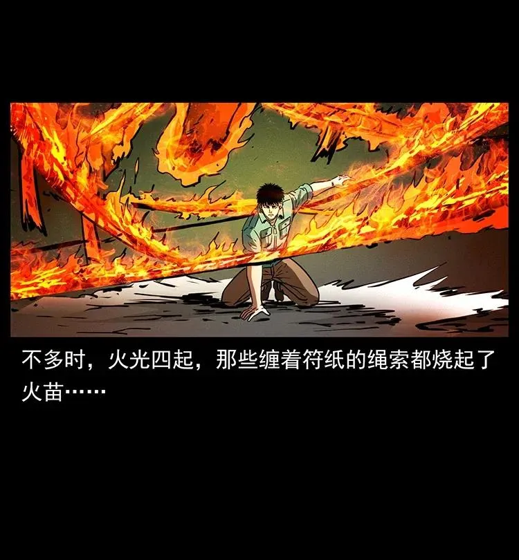 370 乌翅凤凰 第38页