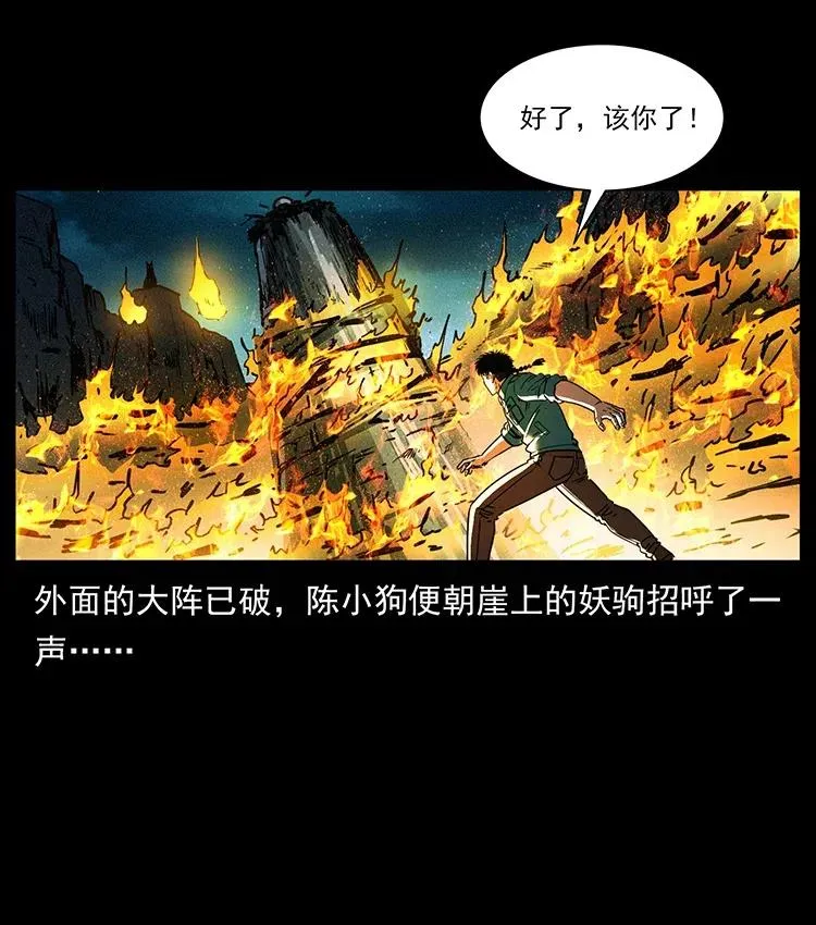 370 乌翅凤凰 第39页