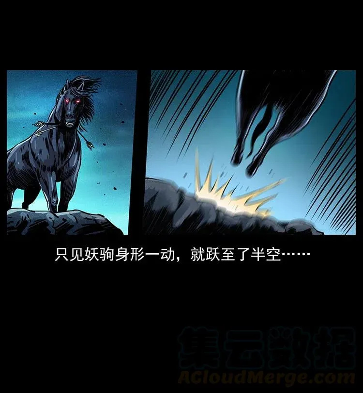 370 乌翅凤凰 第40页