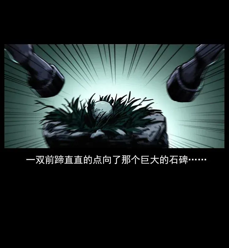 370 乌翅凤凰 第41页