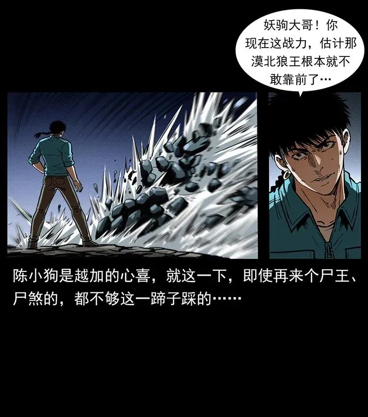 370 乌翅凤凰 第44页
