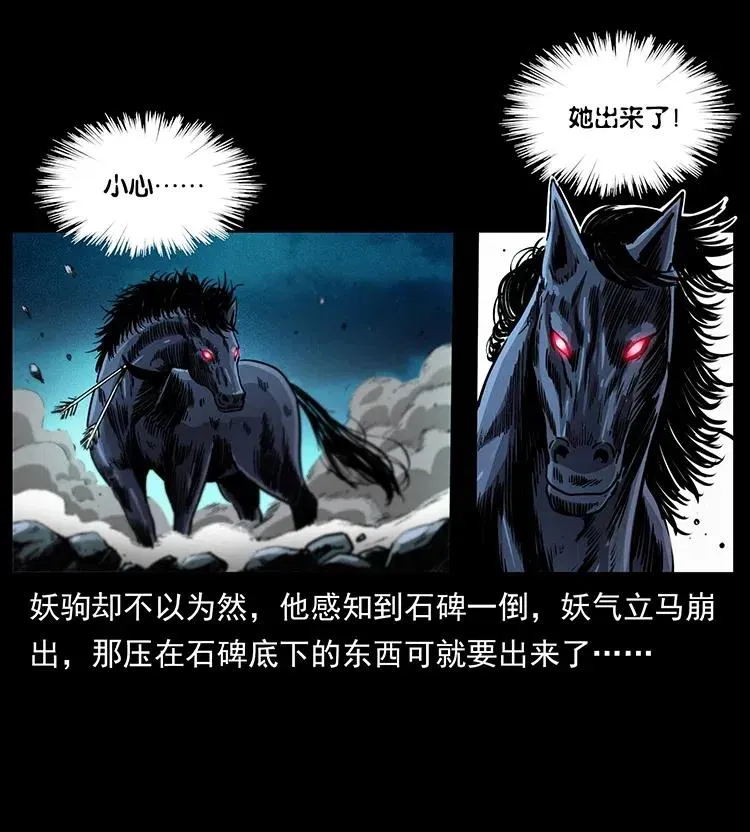 370 乌翅凤凰 第45页
