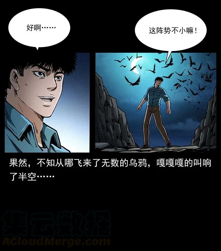370 乌翅凤凰 第46页