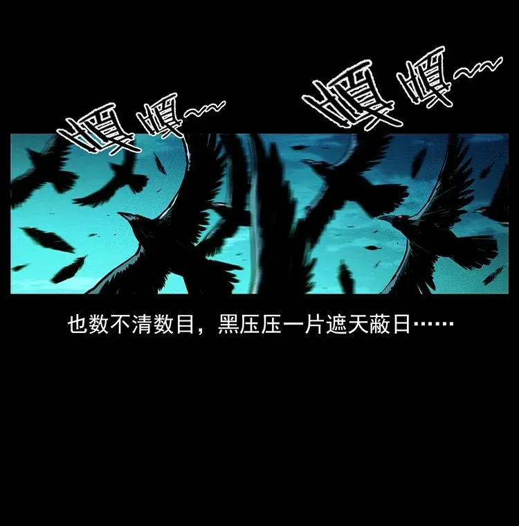 370 乌翅凤凰 第47页