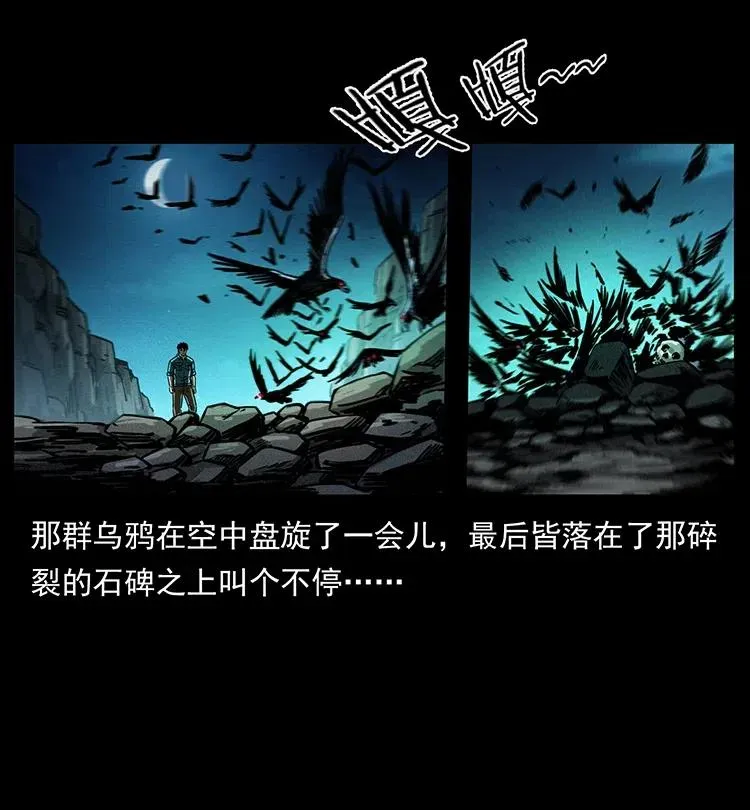 370 乌翅凤凰 第48页