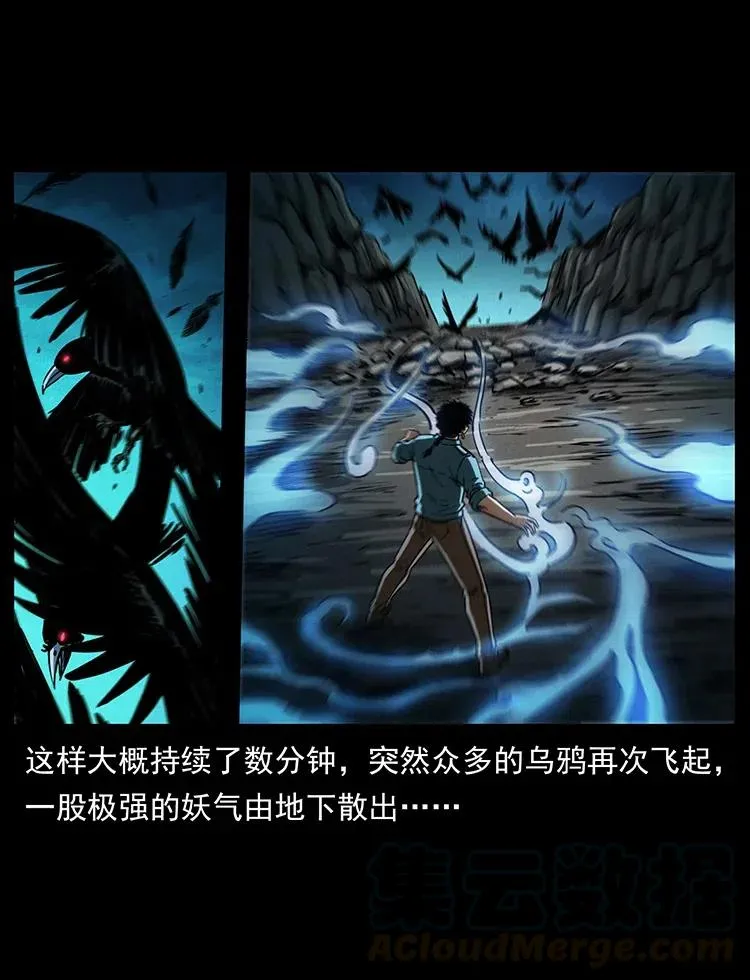 370 乌翅凤凰 第49页