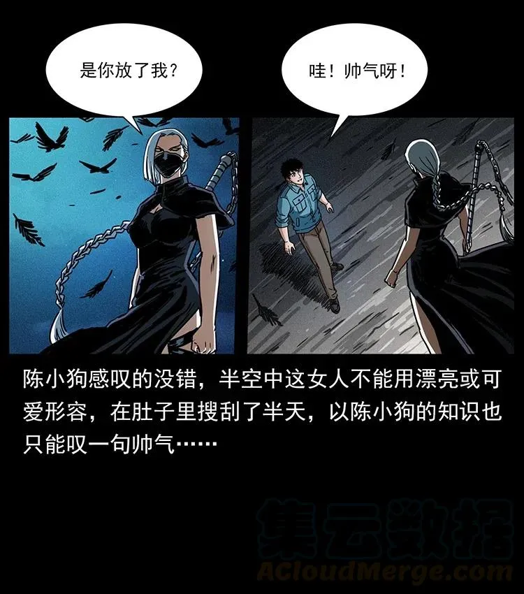 370 乌翅凤凰 第52页