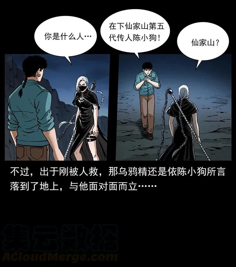 370 乌翅凤凰 第55页