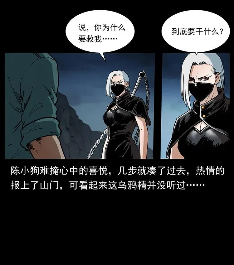 370 乌翅凤凰 第56页