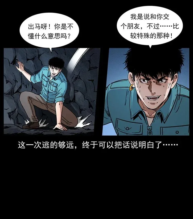 370 乌翅凤凰 第63页