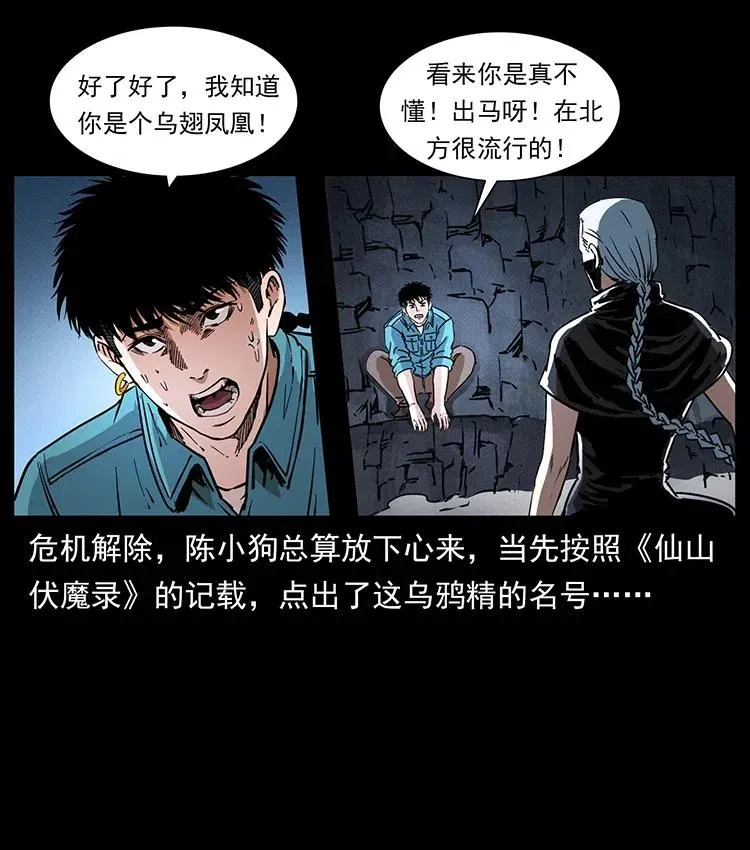 370 乌翅凤凰 第65页