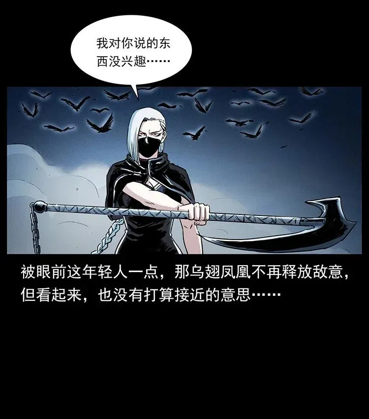 370 乌翅凤凰 第66页