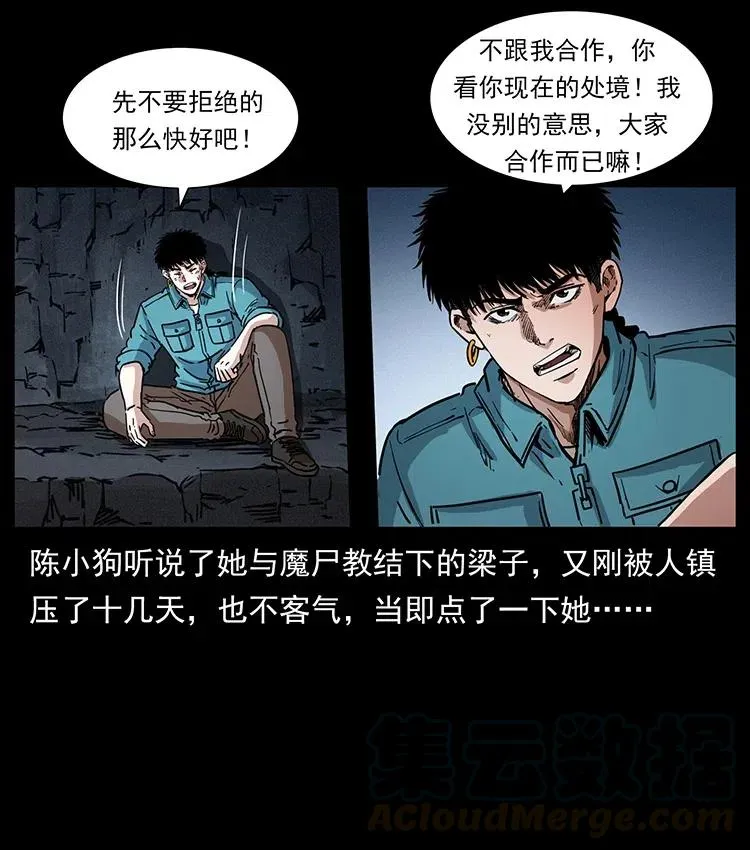 370 乌翅凤凰 第67页