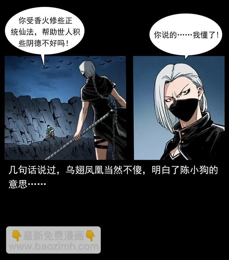 370 乌翅凤凰 第68页