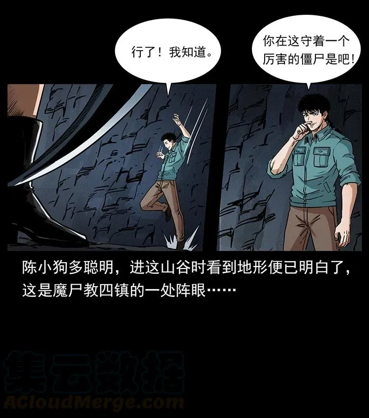 370 乌翅凤凰 第70页