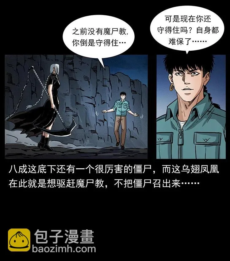 370 乌翅凤凰 第71页