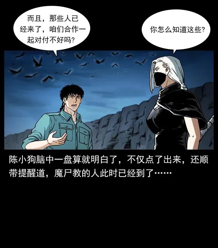 370 乌翅凤凰 第72页