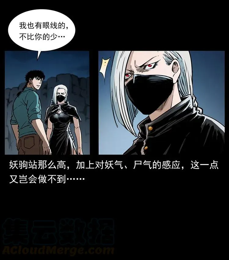 370 乌翅凤凰 第73页