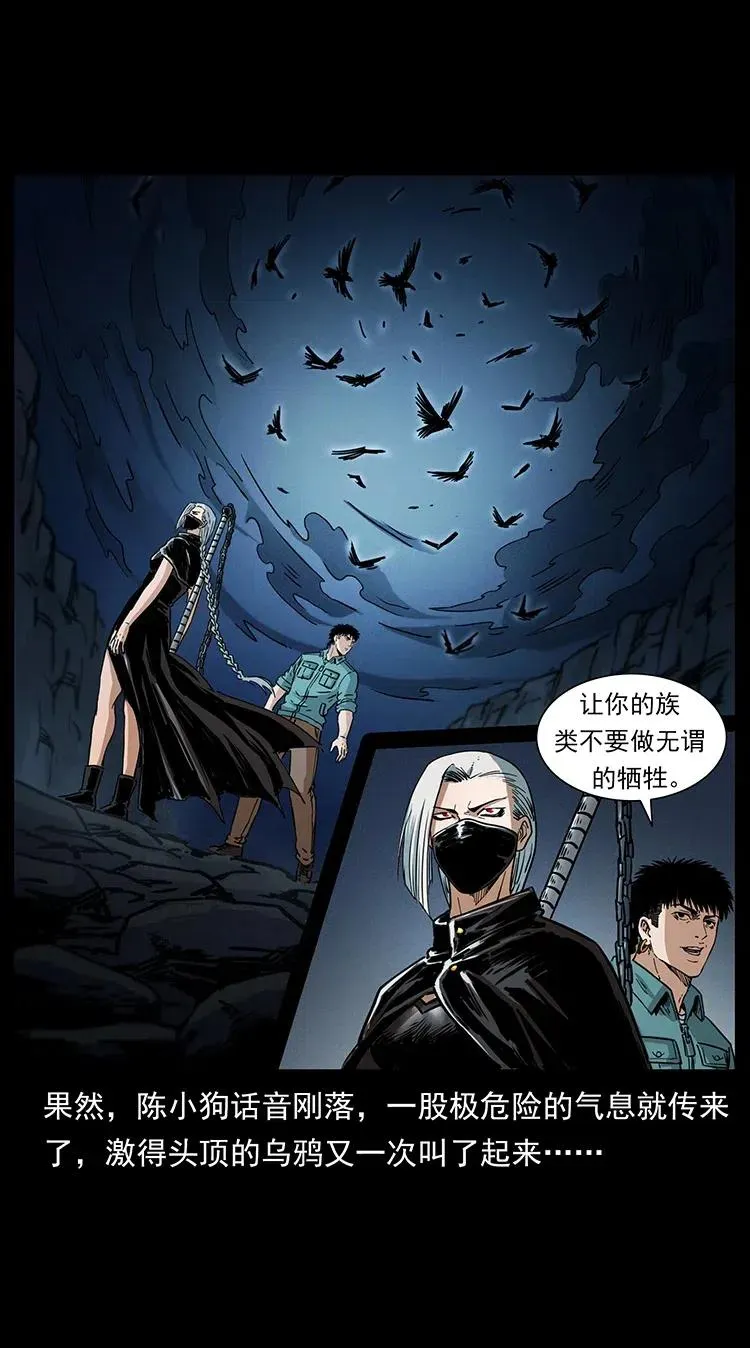 370 乌翅凤凰 第74页