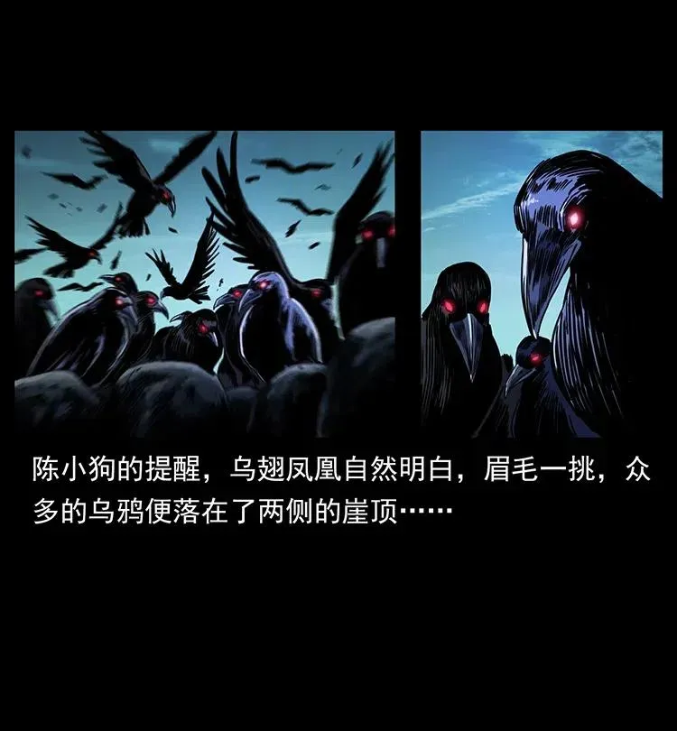 370 乌翅凤凰 第75页