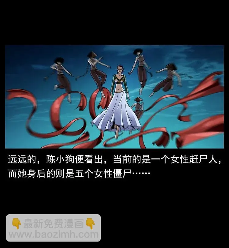 370 乌翅凤凰 第77页