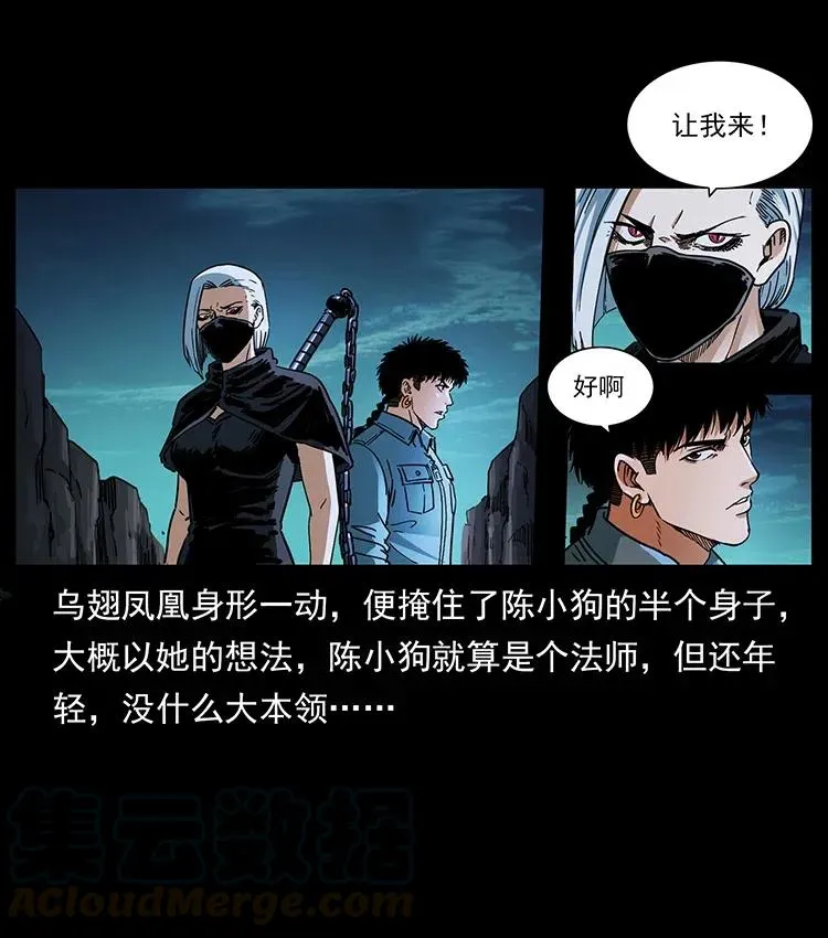 370 乌翅凤凰 第79页
