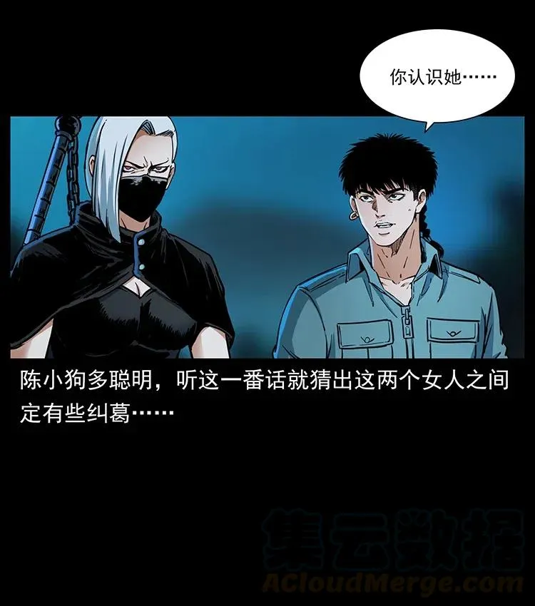 370 乌翅凤凰 第82页