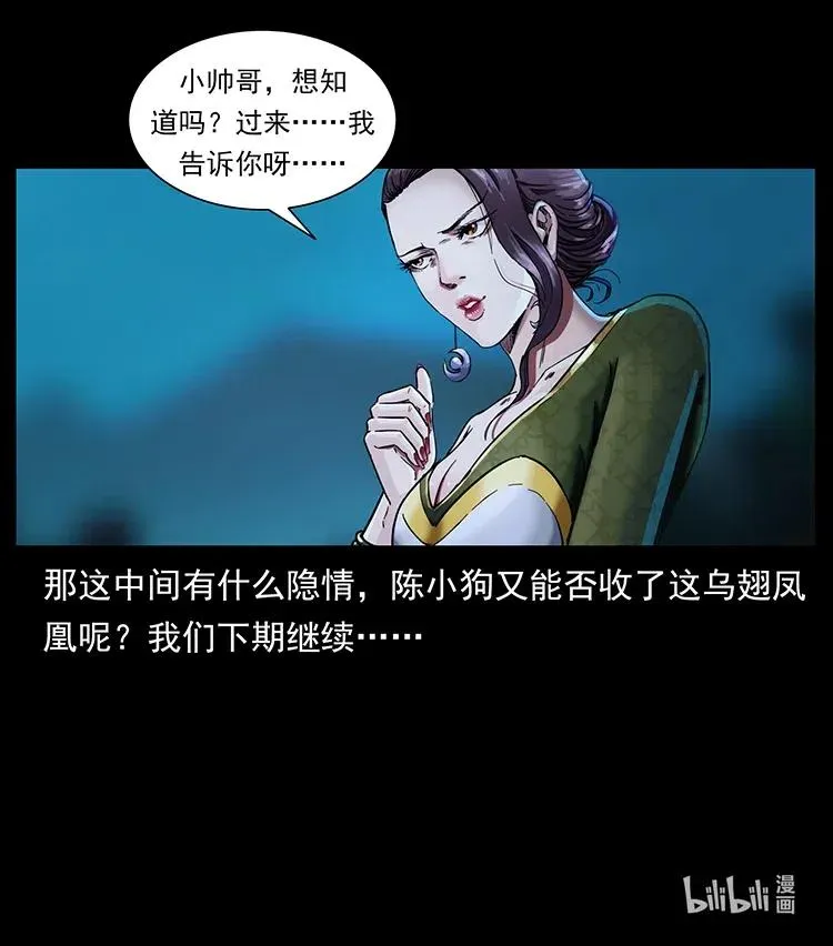 370 乌翅凤凰 第83页