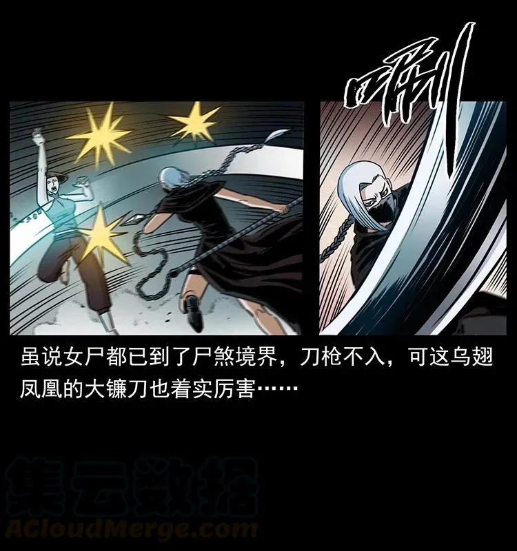 371 鸦 第13页