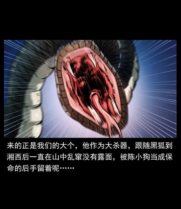 372 天击雷尸 第62页