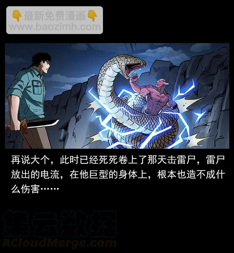 372 天击雷尸 第67页