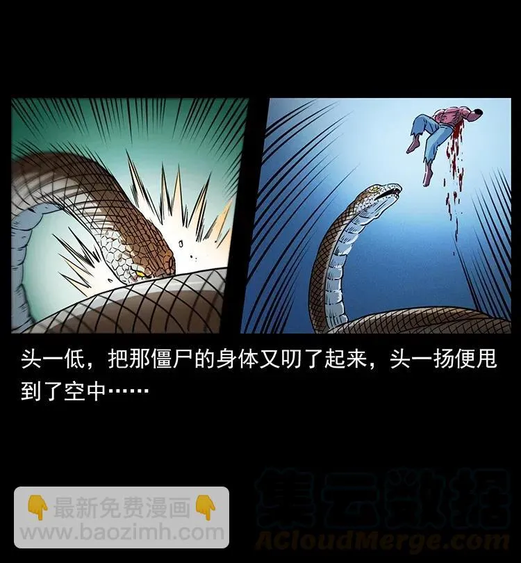 372 天击雷尸 第70页