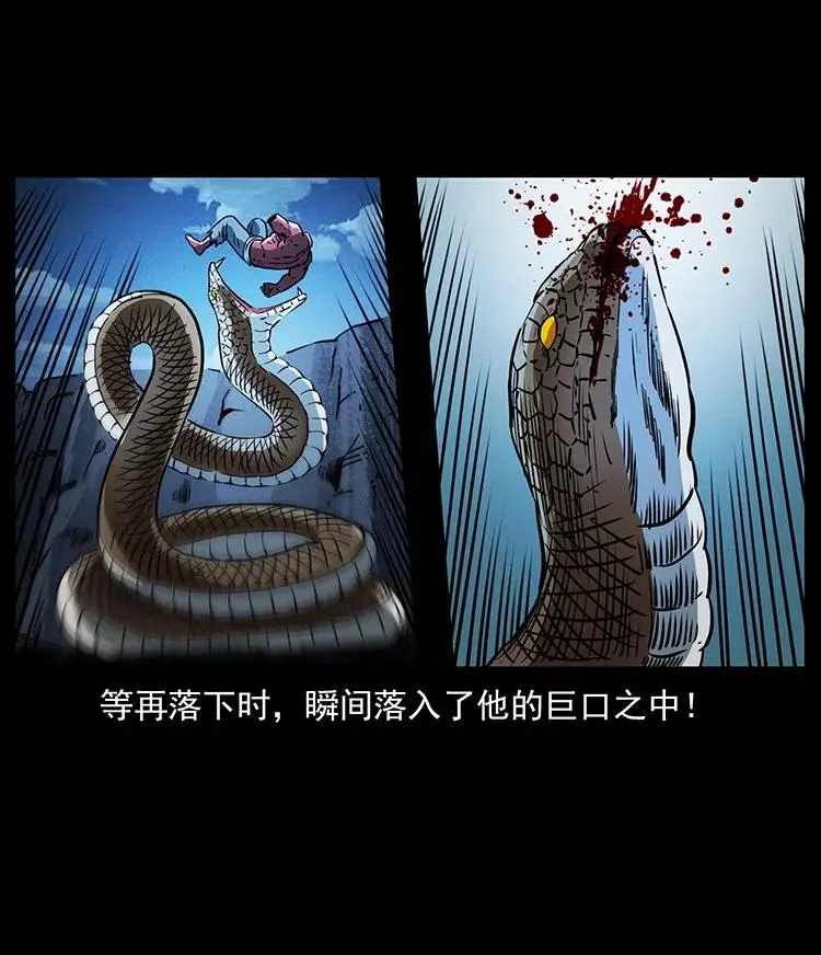 372 天击雷尸 第71页