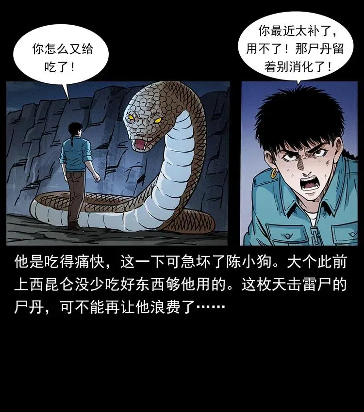 372 天击雷尸 第72页