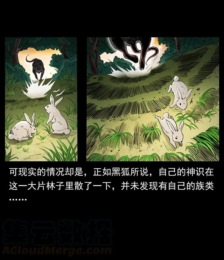 382 何处觅桃园、洪荒自有仙！ 第4页