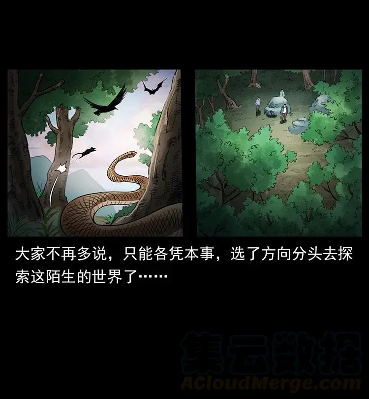 383 出击，仙家山！ 第49页