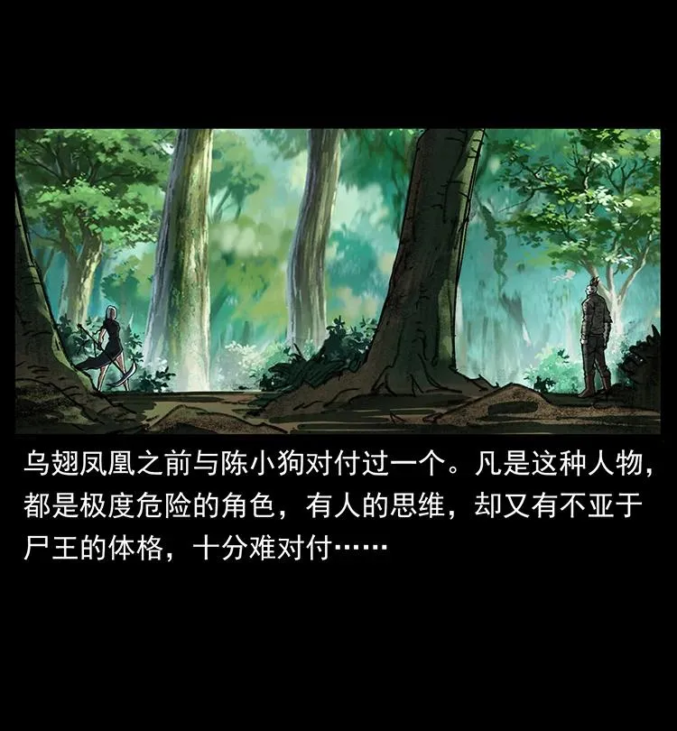 384 路障 第26页